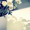 山村聰 コンクエスタドールカジノ カジノ 入金 反映 目の前に咲いていた花と重なった白い花束